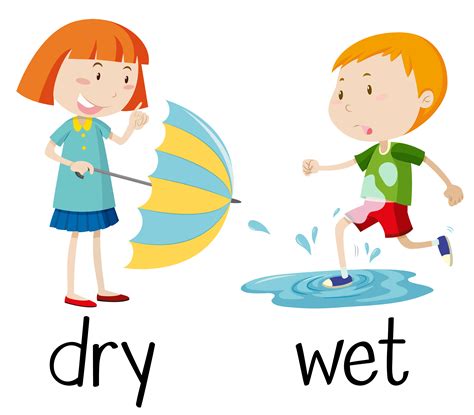 Dry vs Wet .